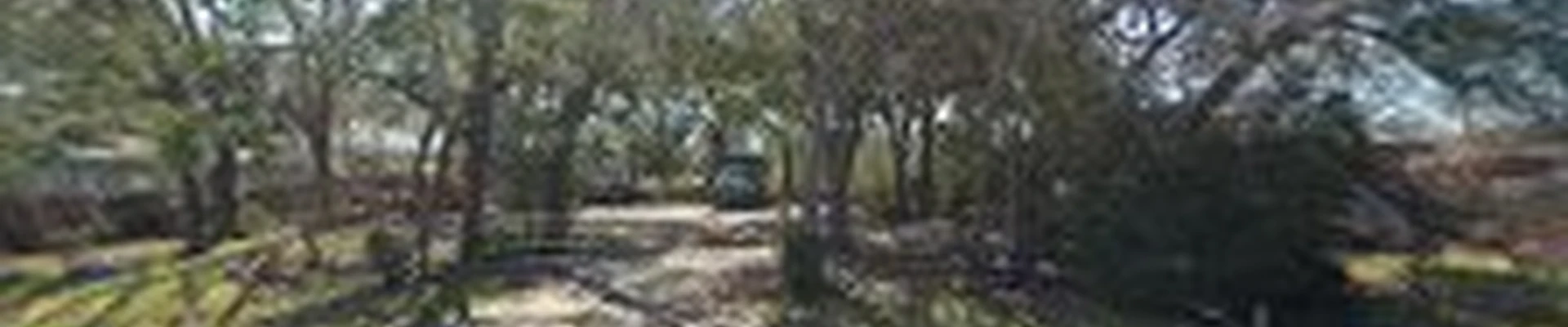 Tree-Mendus Tree Service