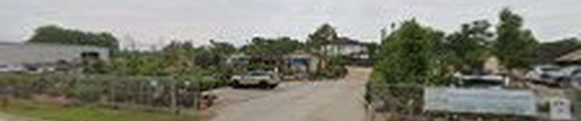 Bay Area Design & Landscape / Bay Area Tree Experts