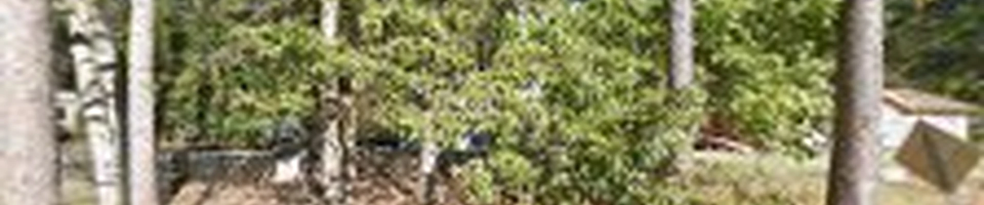 Thornton Lawn & Landscape LLC