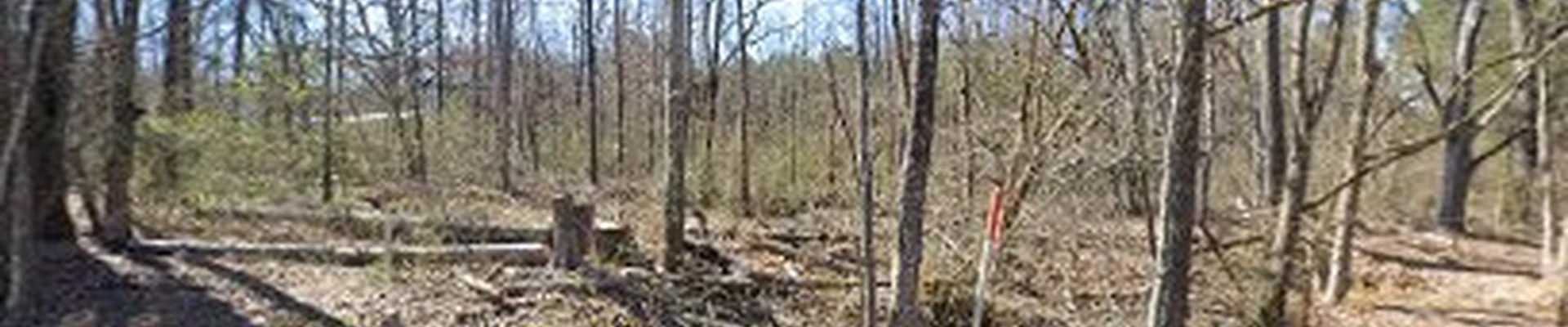 Miller's Landscape