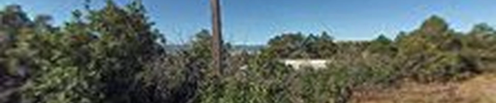 Yore Family Landscaping and Nursery