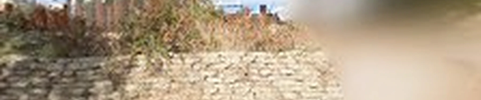 North Coontree Landscape