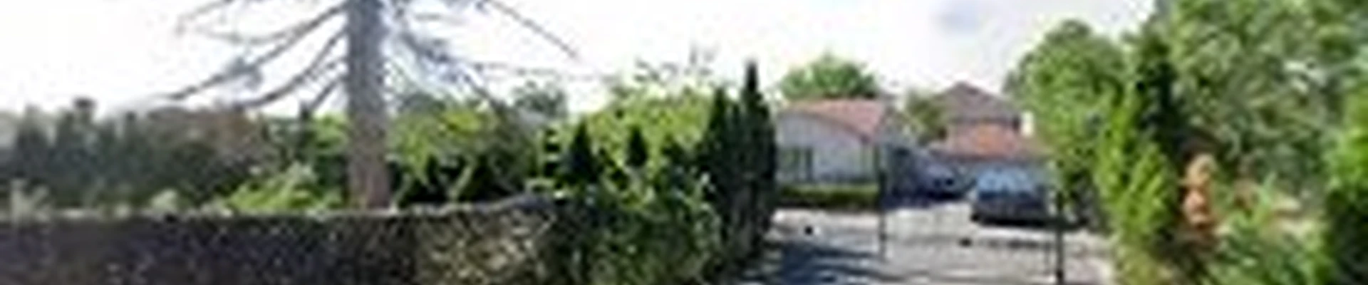 Pure Green Carpet Cleaning