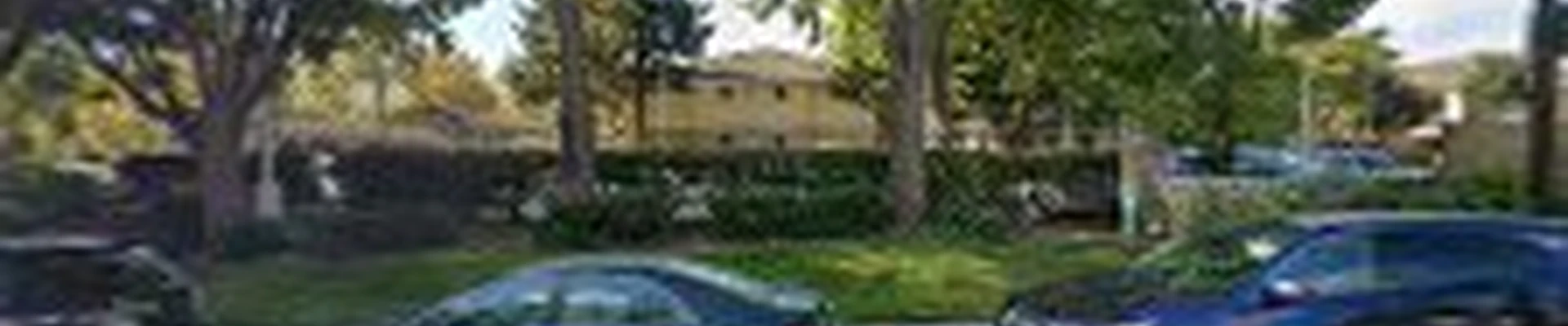 EA carpet and home cleaning