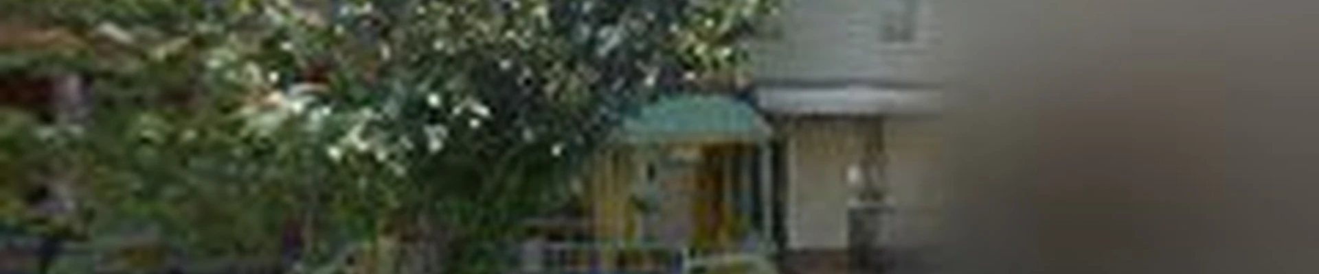 Ara Cleaning Services Inc