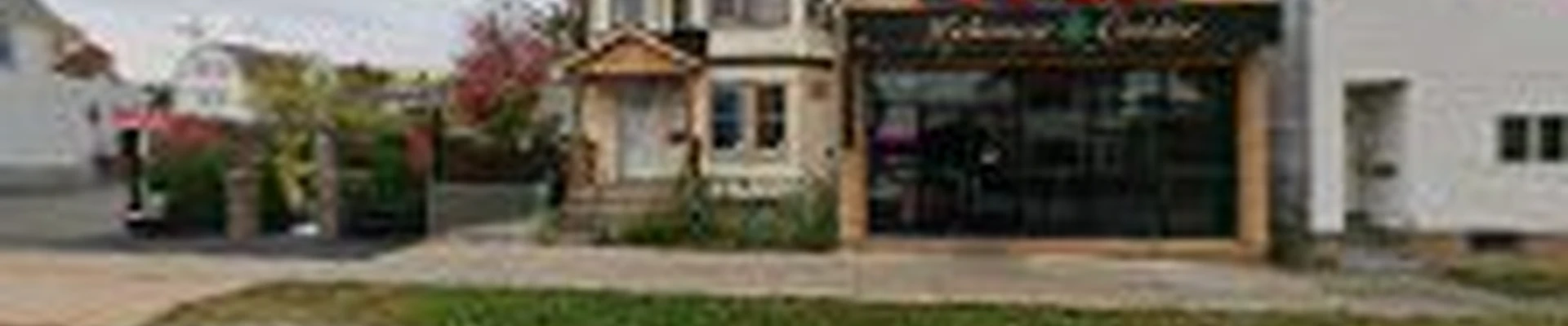 Champion Chimney Systems