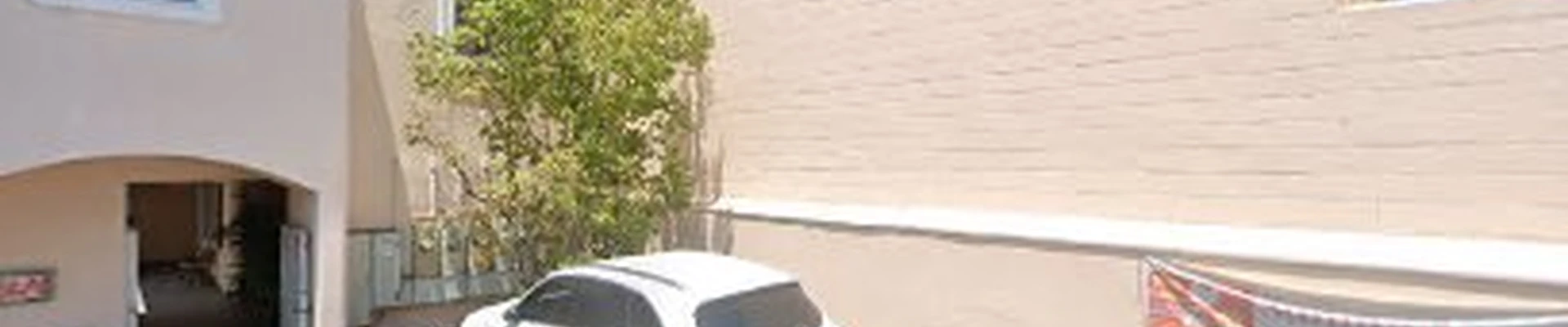 Dynamic Carpet Cleaning Expert