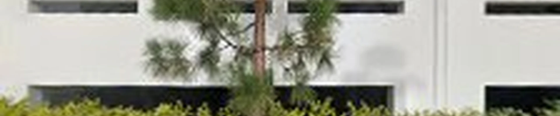 CCS Facility Services