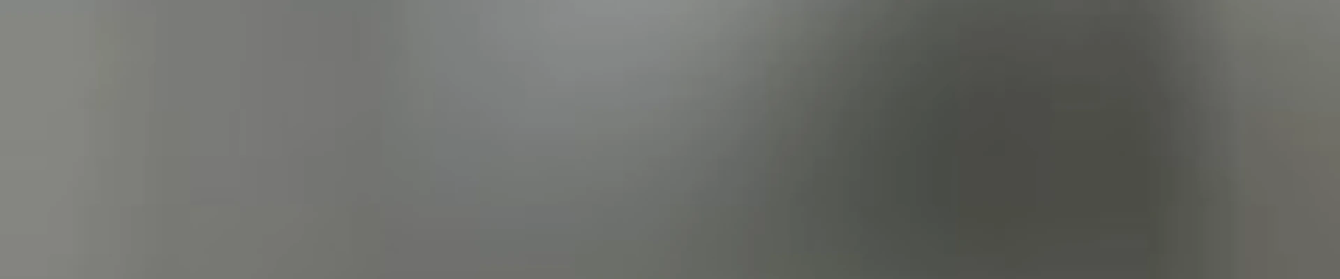 CleaningProsLA