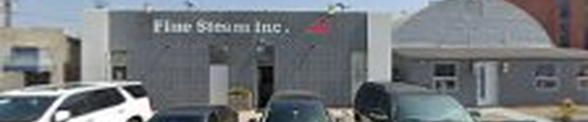 Flue Steam Inc