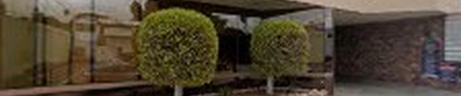 Eco Green Carpet Cleaning - Sherman Oaks