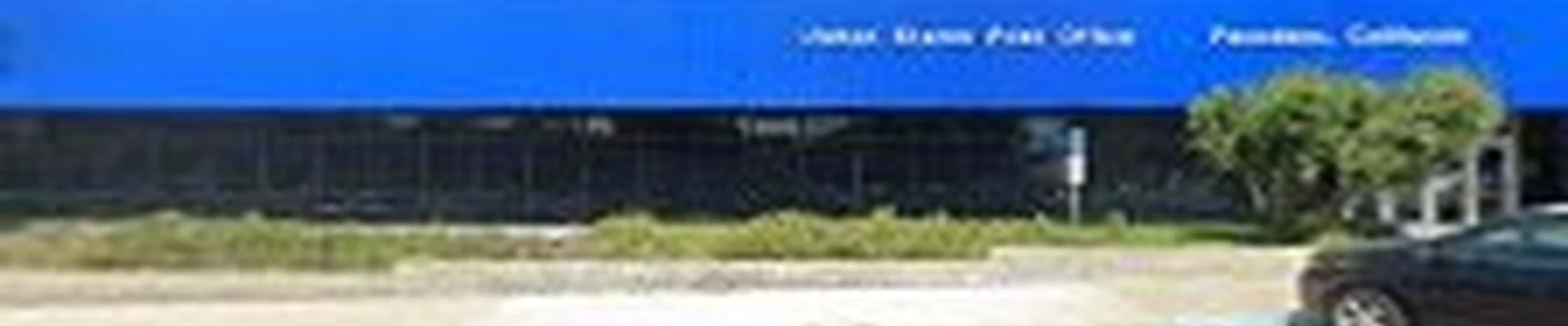 The DRY Carpet Cleaner