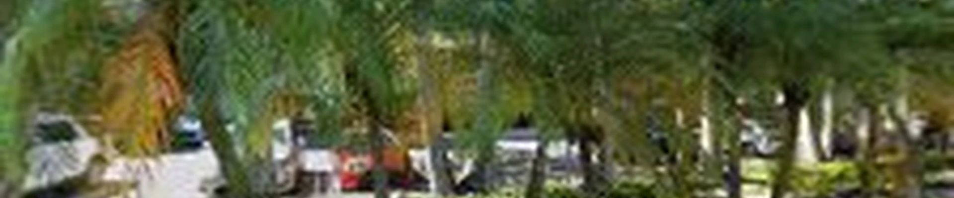 Palmetto Bay Air Conditioning Service, Inc.