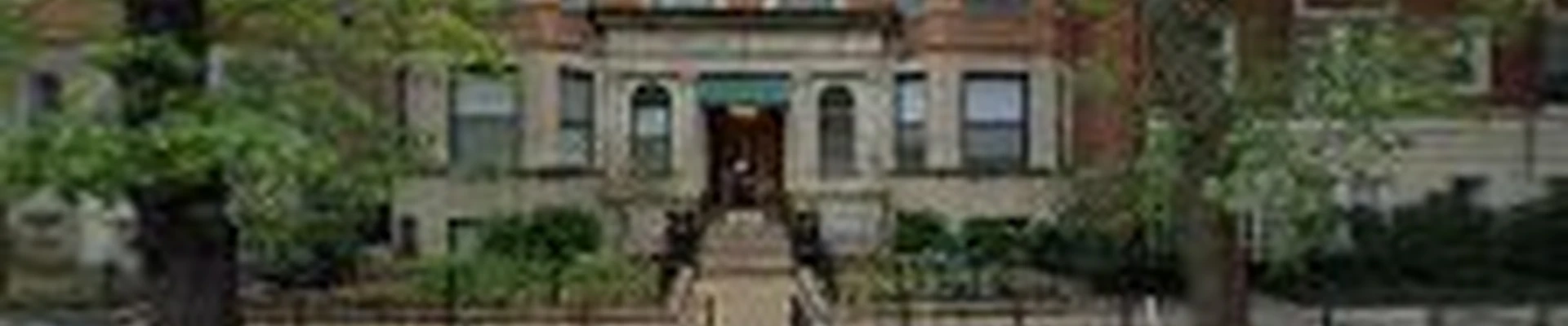 Rover Cleaning Services Chicago