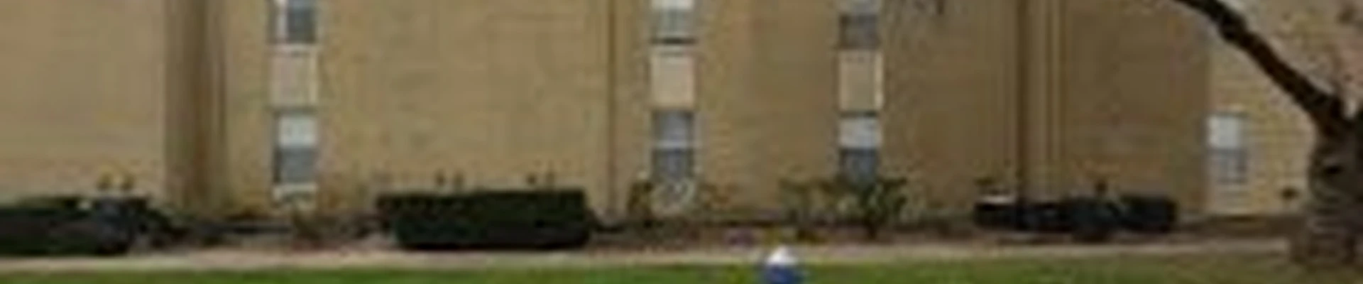 Chimney Sweep Pros Houston