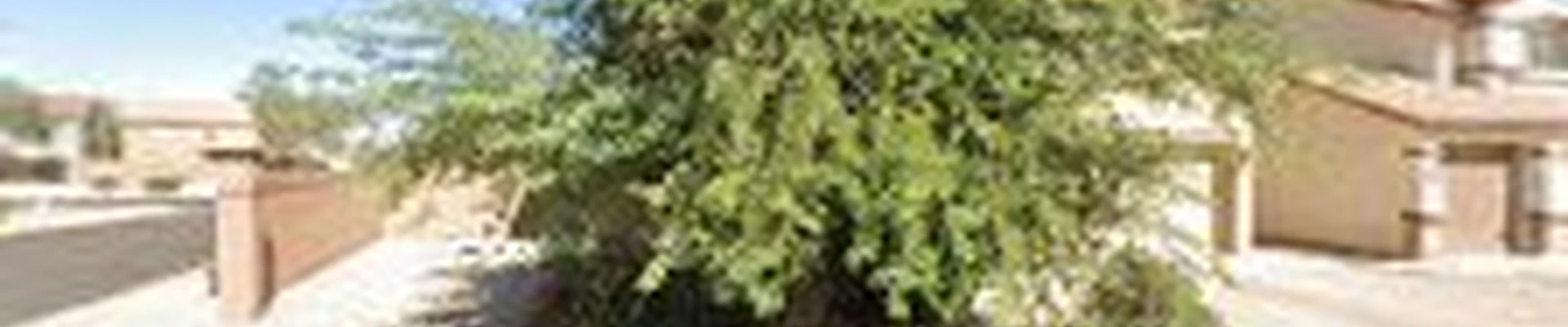 Classy Cleaners