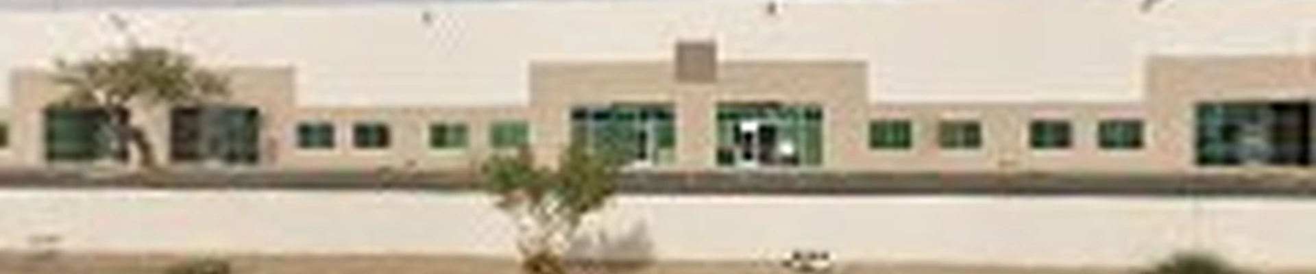 Best Phoenix Carpet Cleaning