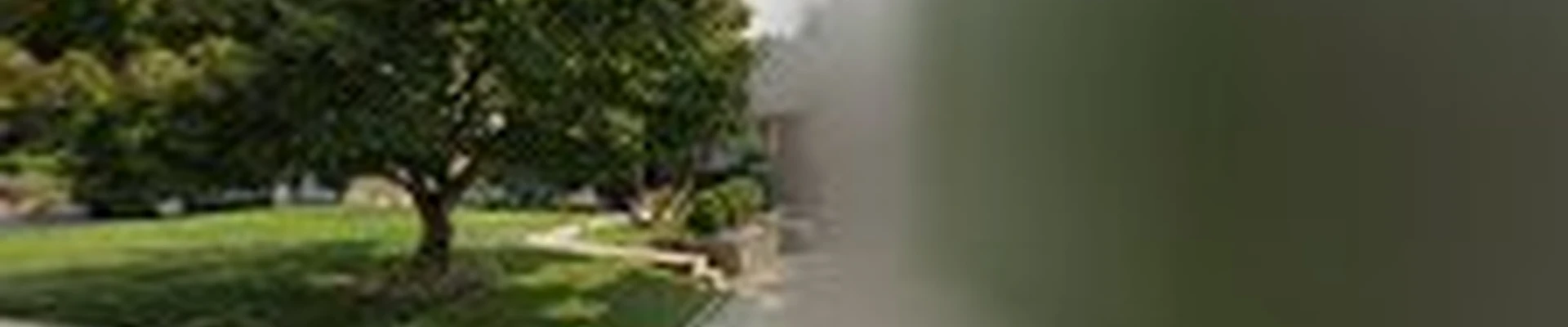 Main Line Gutter Cleaning Service