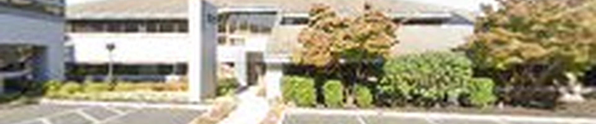 JDog Carpet Cleaning & Floor Care