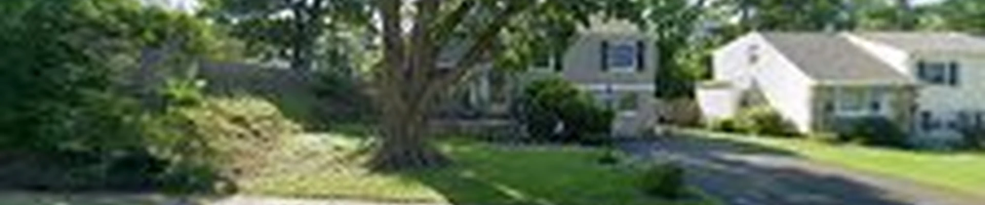 Ed Bennis Chimney Repairs