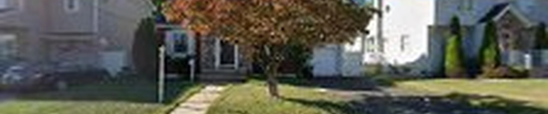 Tasice Mold Removal & Cleaning