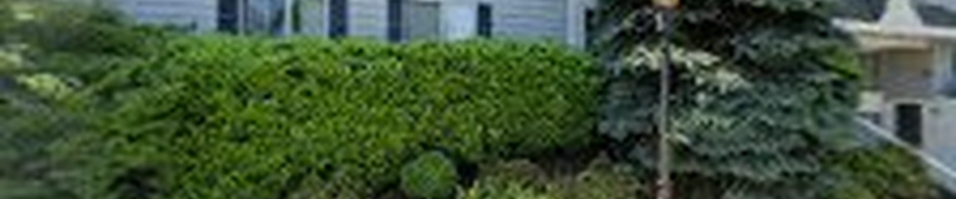 Green Rug Westchester