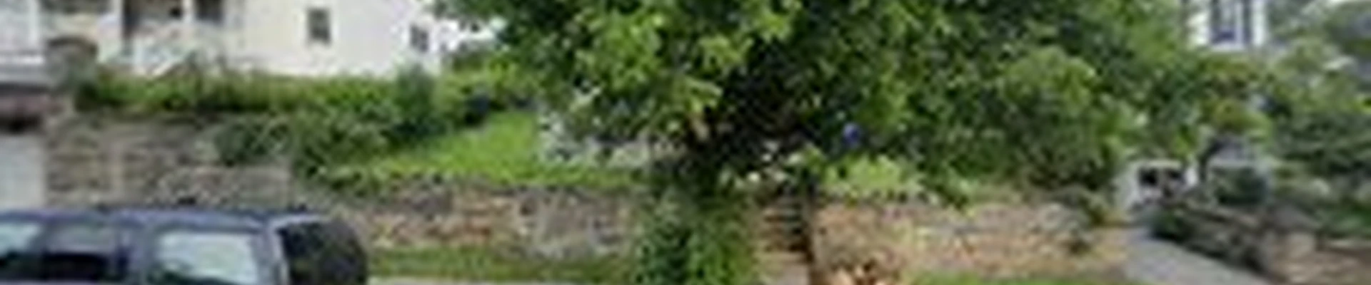 Lucky's Cleaning Service - White Plains