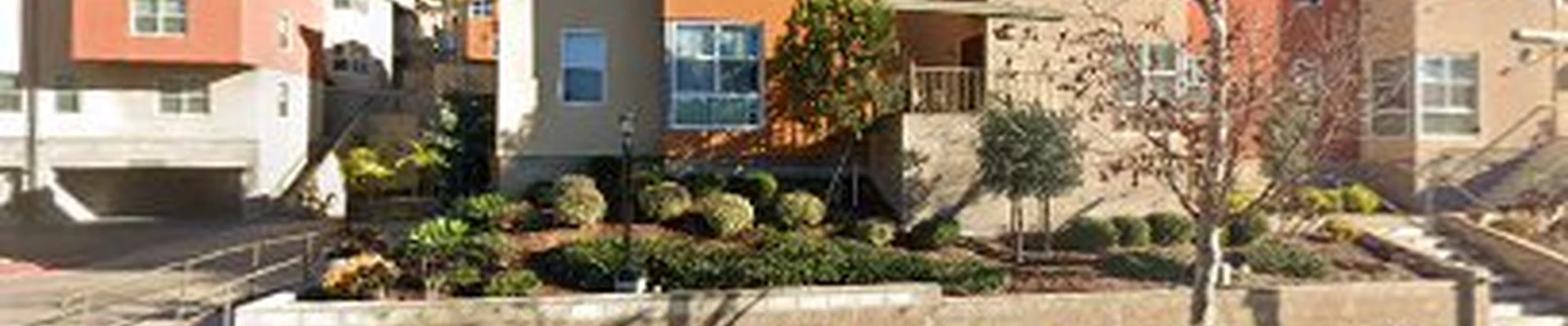 Palm Trees Cleaning Company