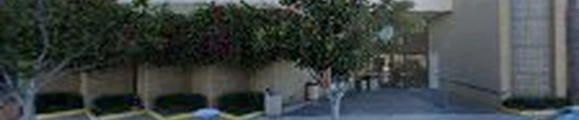 Coronado Carpet and Stone
