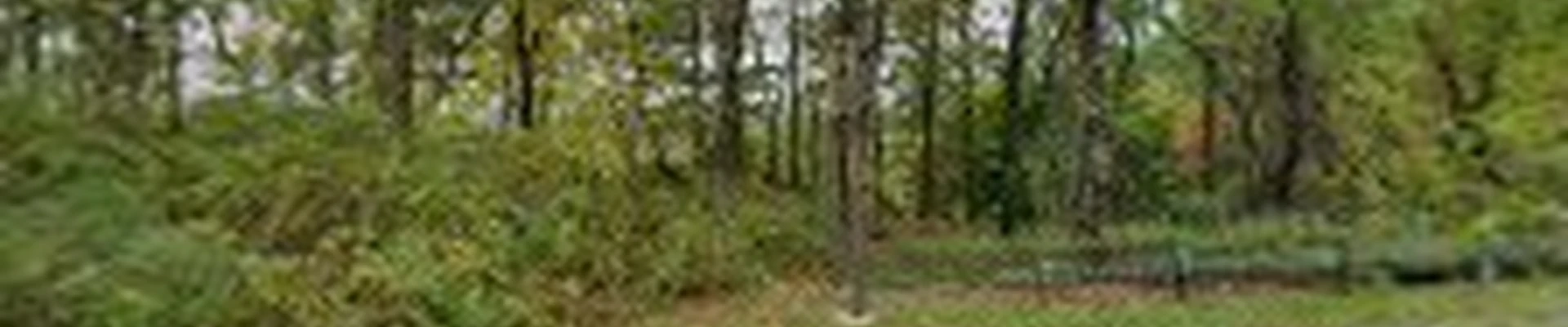 Eco Homes Cleaners LLC