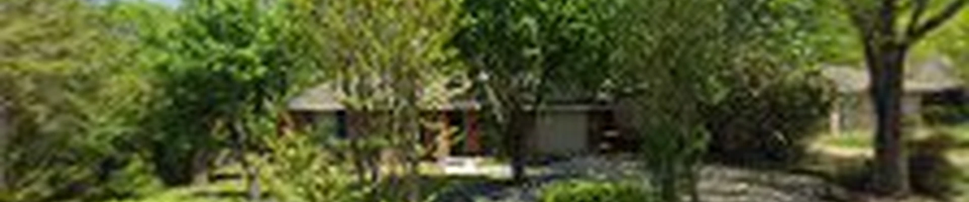 Jarvis Carpet Cleaning Service