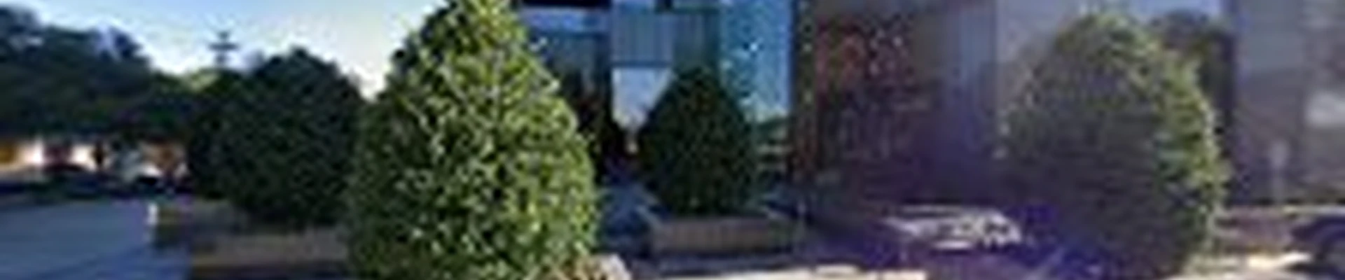 SERVPRO of Northeast Dallas
