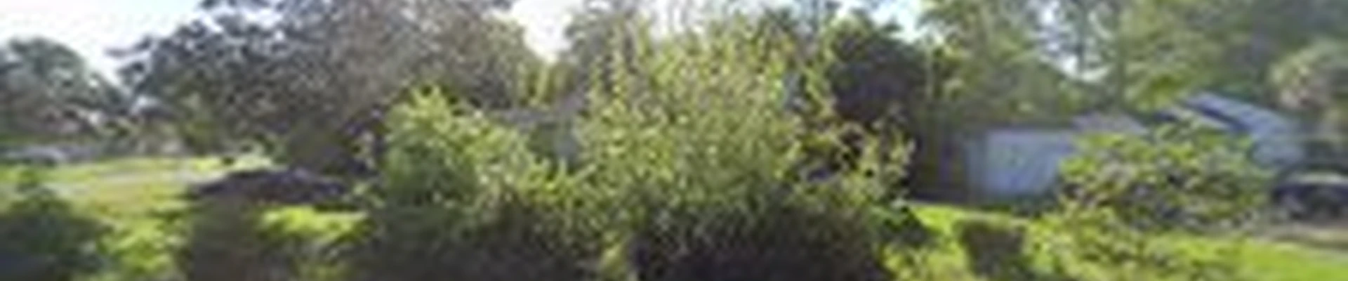River City Cleaning Services LLC