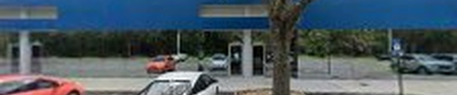 Steves Painting & Maintenance