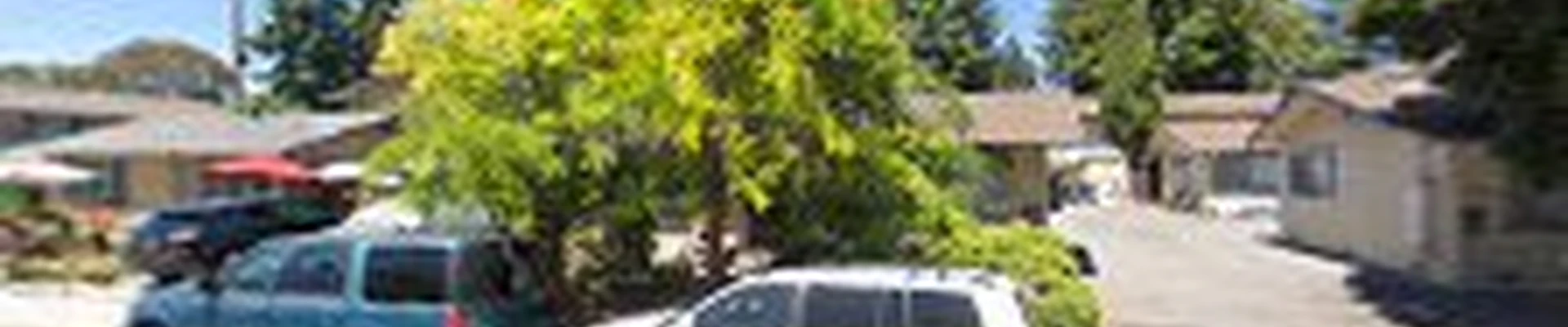 Celia's House Cleaning Service Mountain View