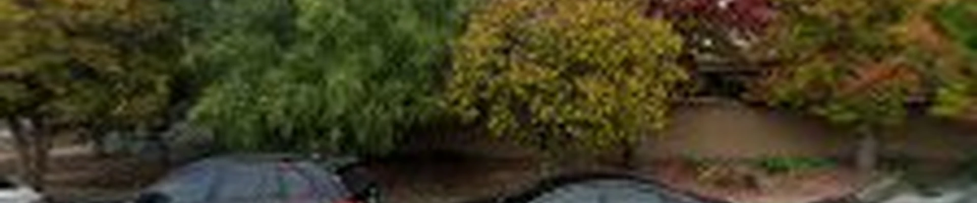 Golden Fox Carpet Cleaning