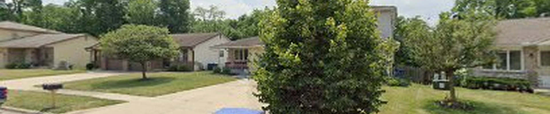 New House Cleaning