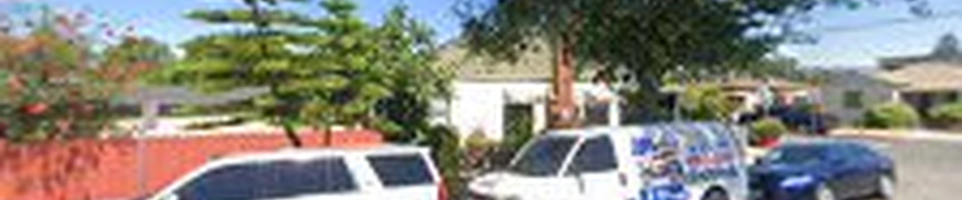 Botellos carpet cleaning
