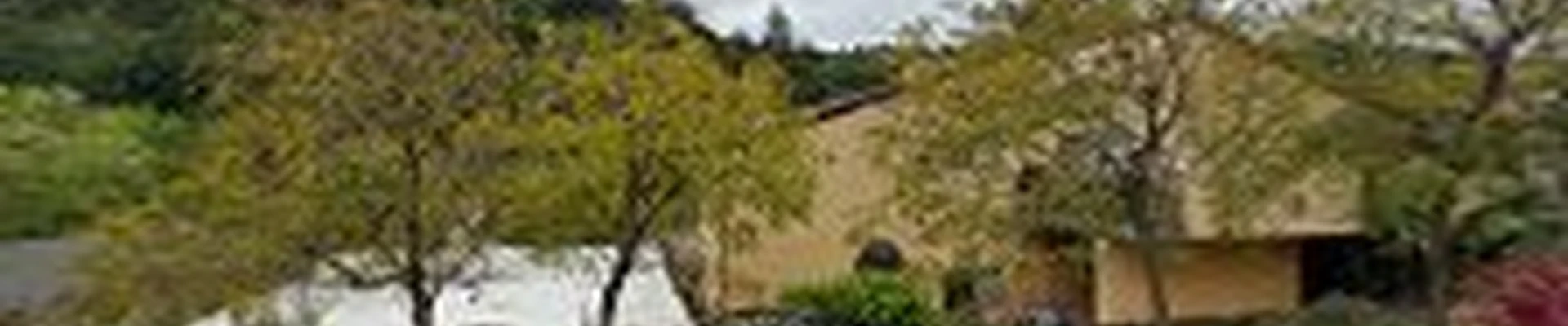 Bay Area Simple Cleaning