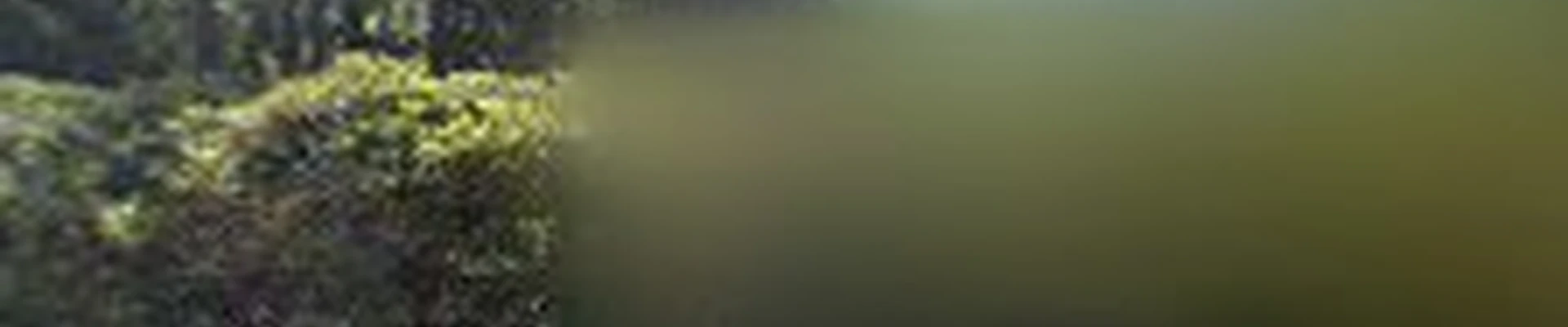 TruCleen Quality Cleaning