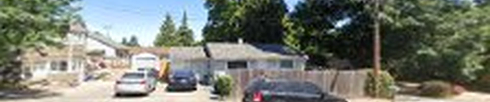 Diamond Cleaners USA