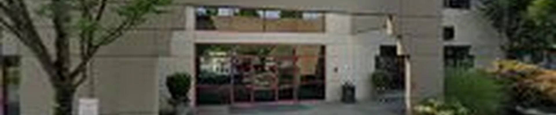 Fish Window Cleaning
