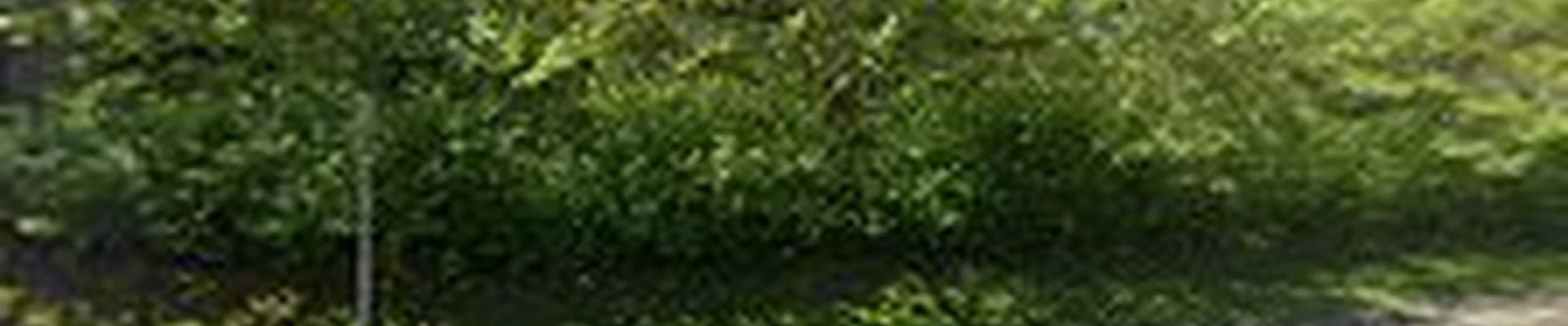 Lime Plus Cleaning Services