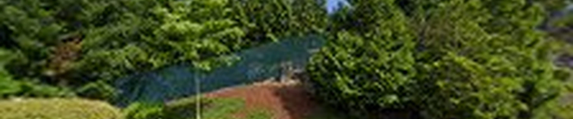 Great Expectation Cleaning Service