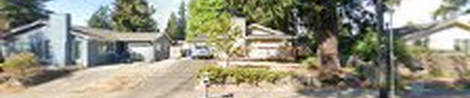 Dynamic Cleaning Seattle WA
