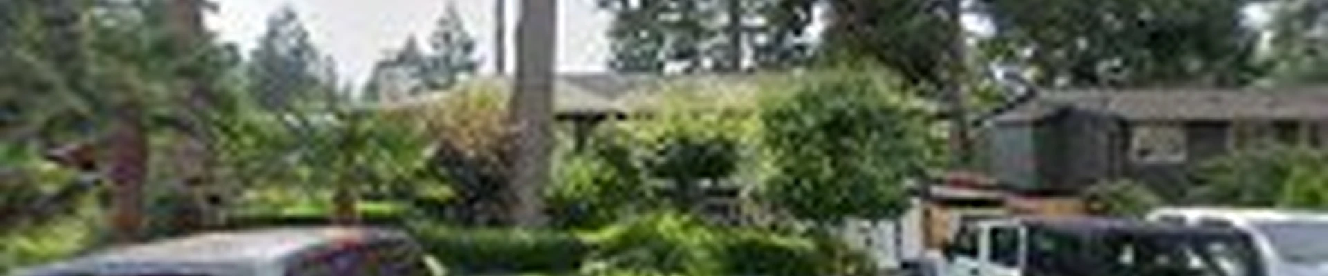 Blue star cleaning LLC