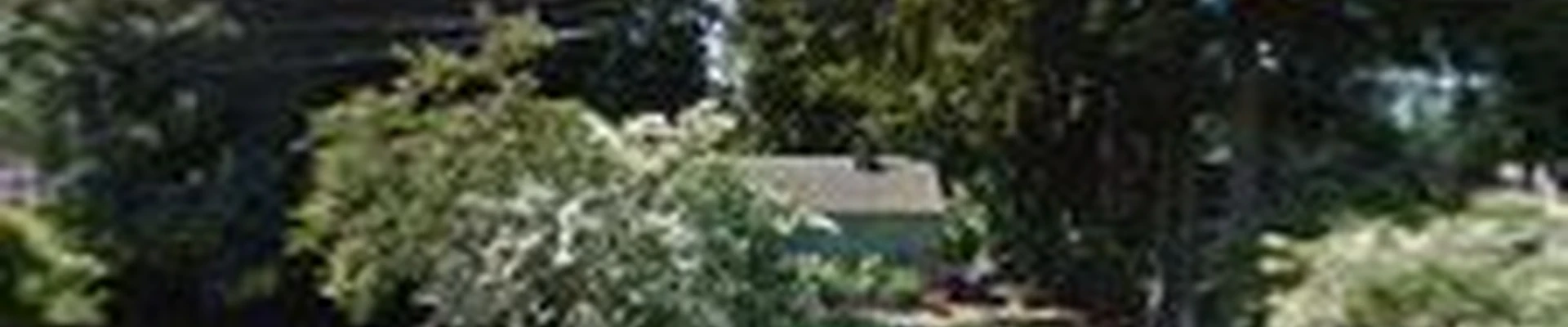 Susan's Green Cleaning