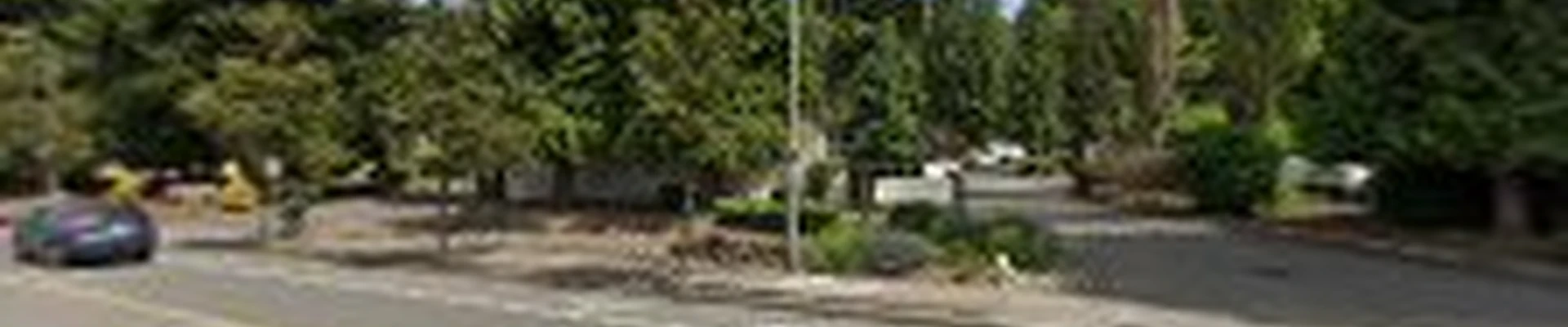 Evergreen Cleaning Co.