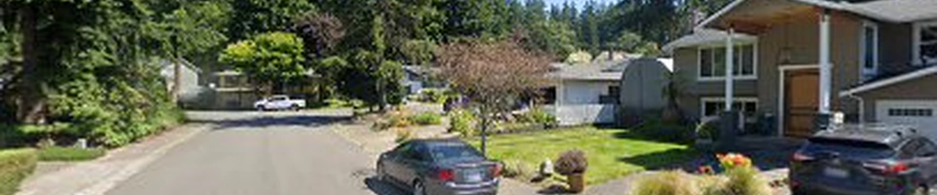 Vicky Cleaning - Kirkland, Wa