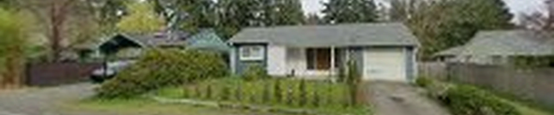Mega Clean Services NW LLC
